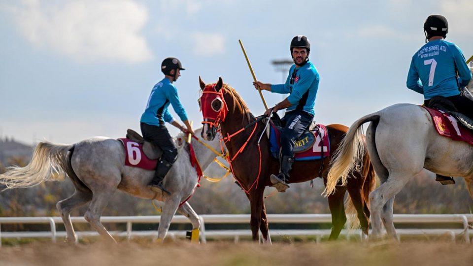 Türkiye atlı sporlar ile dünyada adından söz ettirmeye başladı